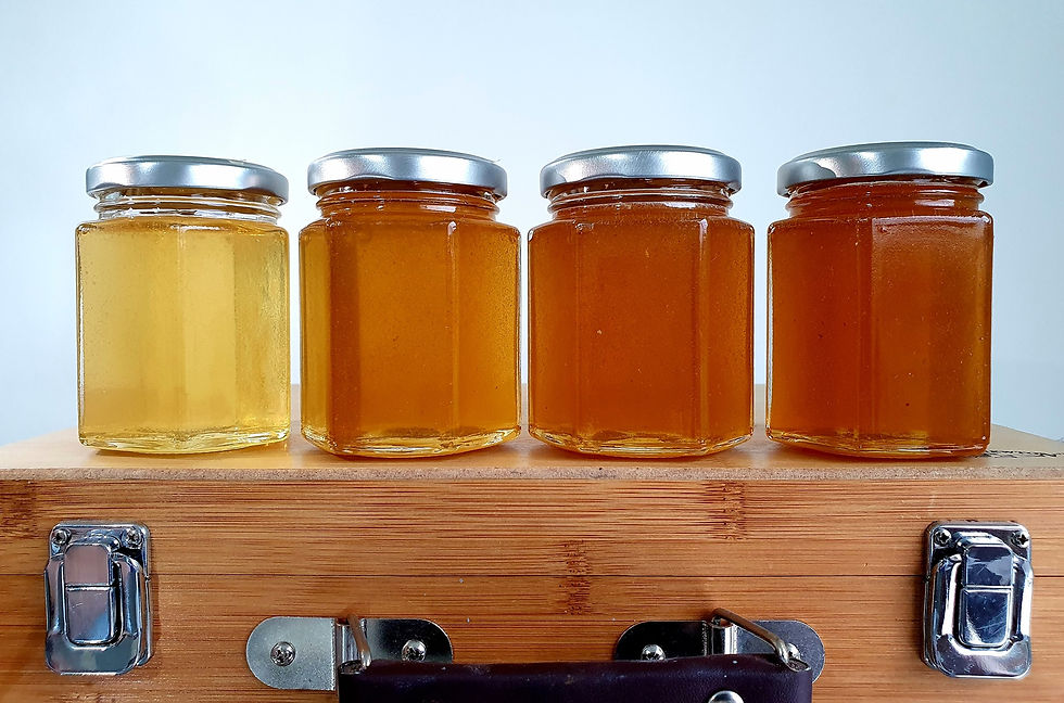 Thumbnail: Beekeeping experience - Studley Castle