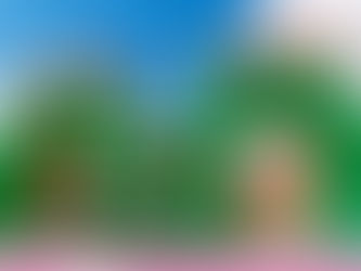 המדריך המלא לבחירת מתקנים מתנפחים לאירועים קהילתיים