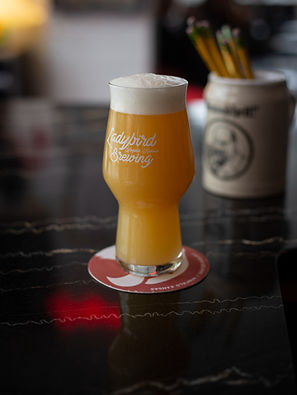hazy pale 2023_edited.jpg