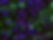 Overlay all_2.tif