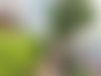 Associação Alto da Palhano faz diferença na qualidade de vida dos moradores