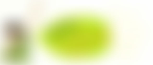 【ハートフルさと納税】はじめます！