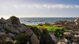 Monterey Scenic Drive, California