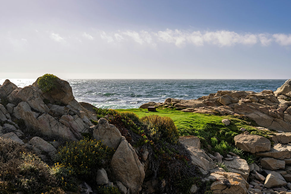 Monterey Scenic Drive