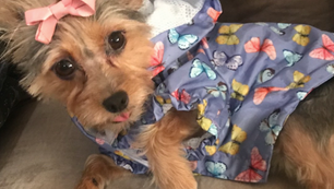 Screenshot 2022-02-15 at 6.23.24 PM.png