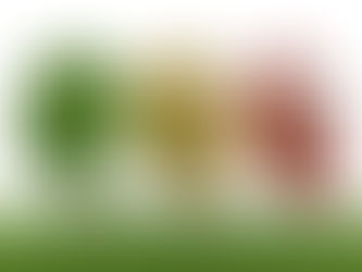 Alzheimer’s Disease