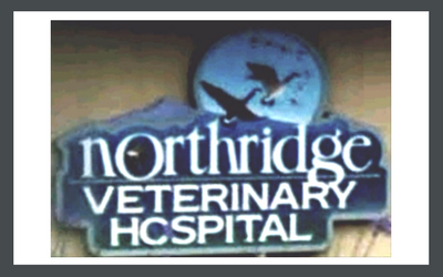 Northridge