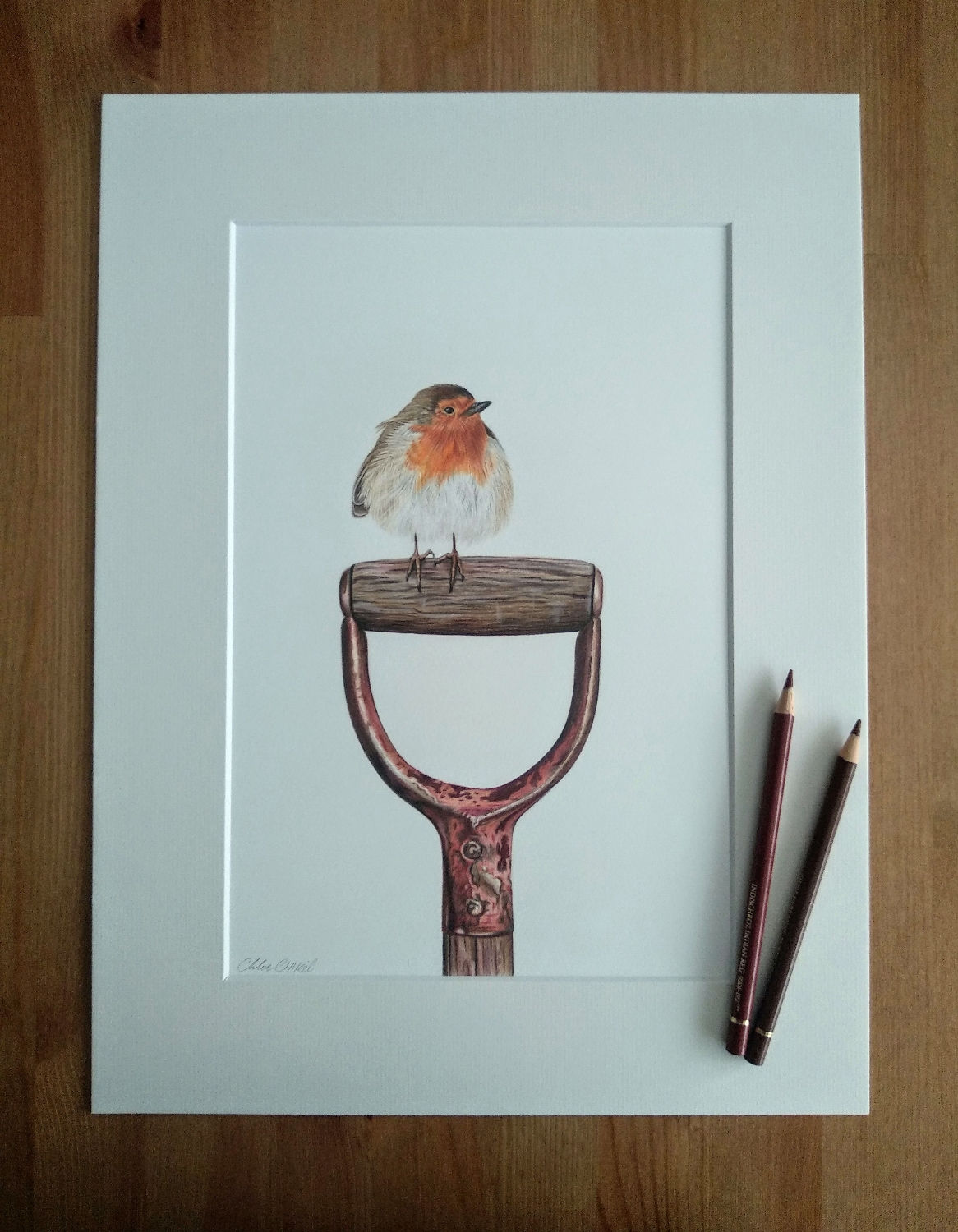 Original - 16x12 Framed Robin in Coloured Pencil