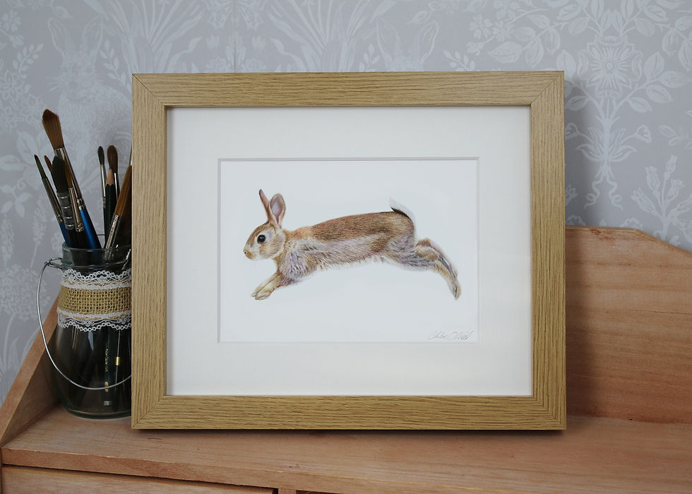 Thumbnail: Bunny - "Leap for Joy" - Art Print - Framed