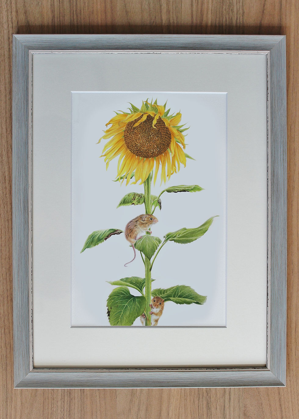 Thumbnail: Harvest Mice - "Race to the top"