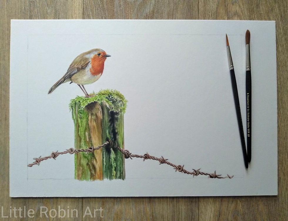 Thumbnail: Robin - "Soft Landing"