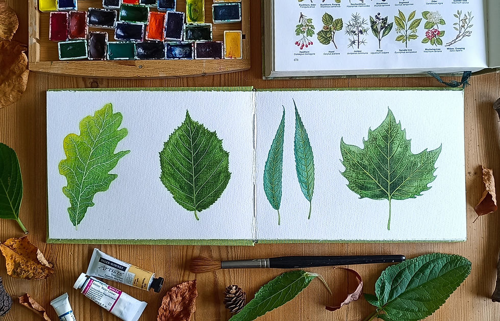 Sketchbook Session Workshop - Autumnal Finds