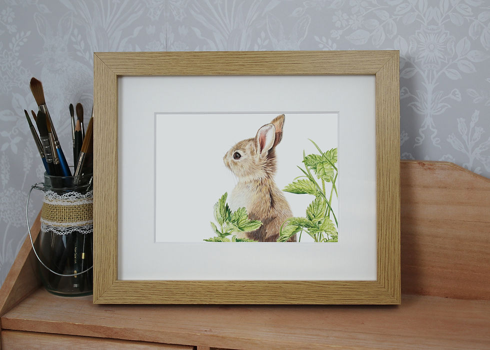 Rabbit - "Springtime"