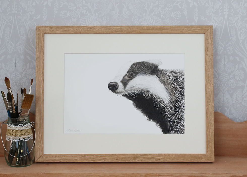 Thumbnail: Badger - "Trufflehunter"