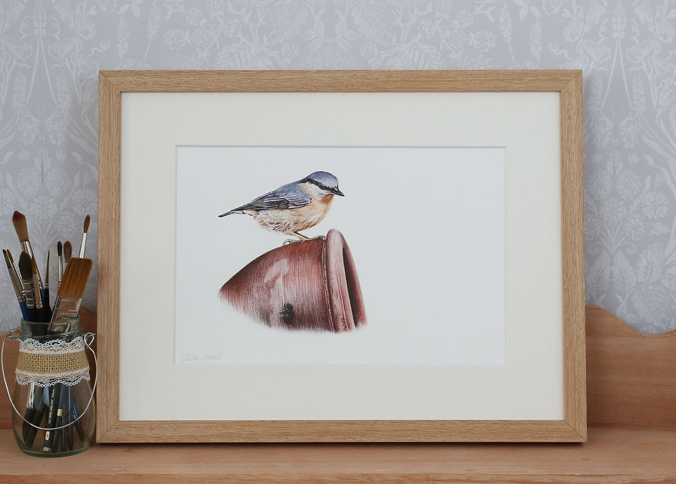 Thumbnail: Nuthatch - "Garden Visitors"