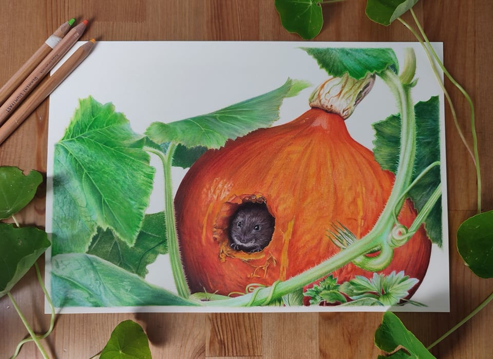 Thumbnail: Vole and Pumpkin - "The Pumpkin Patch"