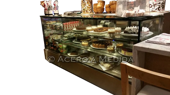 Heladera Comercial Bonafide