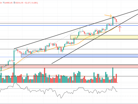 비트코인 실시간 대응(Support)
