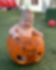 infant celebrating Halloween