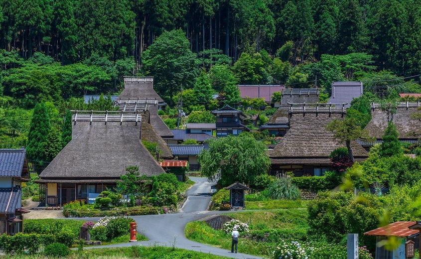 Miyama thatched cottages