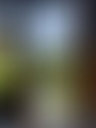 If You Knew You Belonged What Would Change? (Eunuchs and Singleness-Part 4)