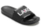 LAXO Slides