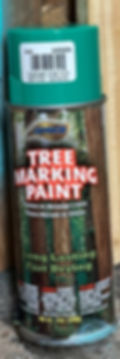 Aervoe Tree Marking Paint - Light Green Case of 12 cans