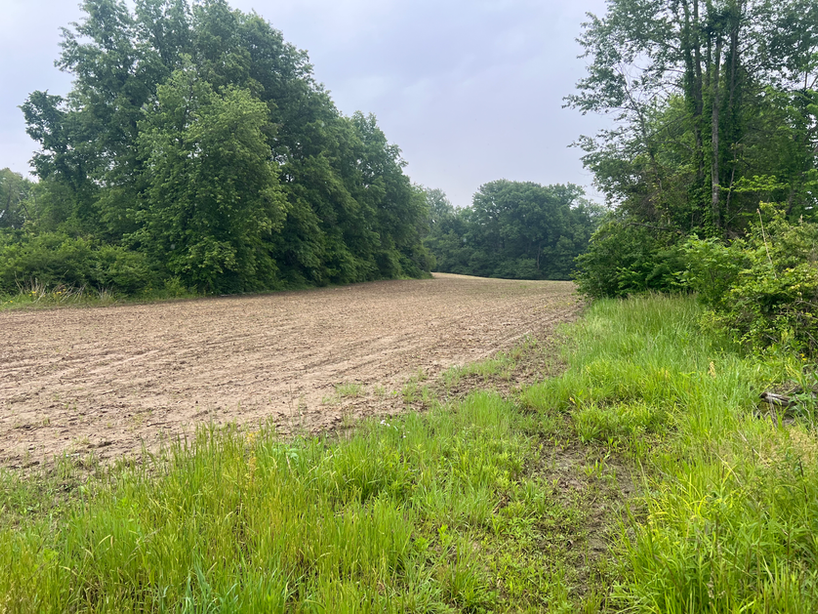 Tillable Acreage for Sale in Sullivan County, Indiana