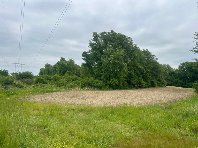 Crop Land for Auction in Sullivan County, Indiana