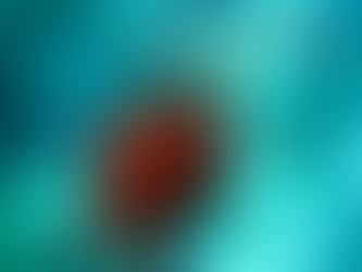 Intuition workout: turtle or water?