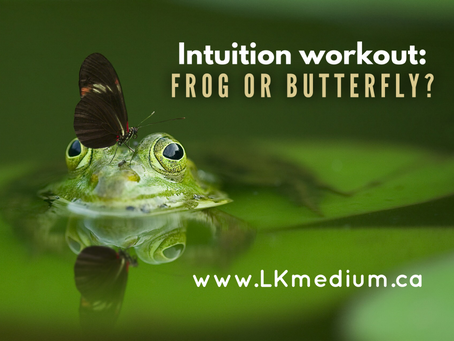 Intuition workout: frog or butterfly ?