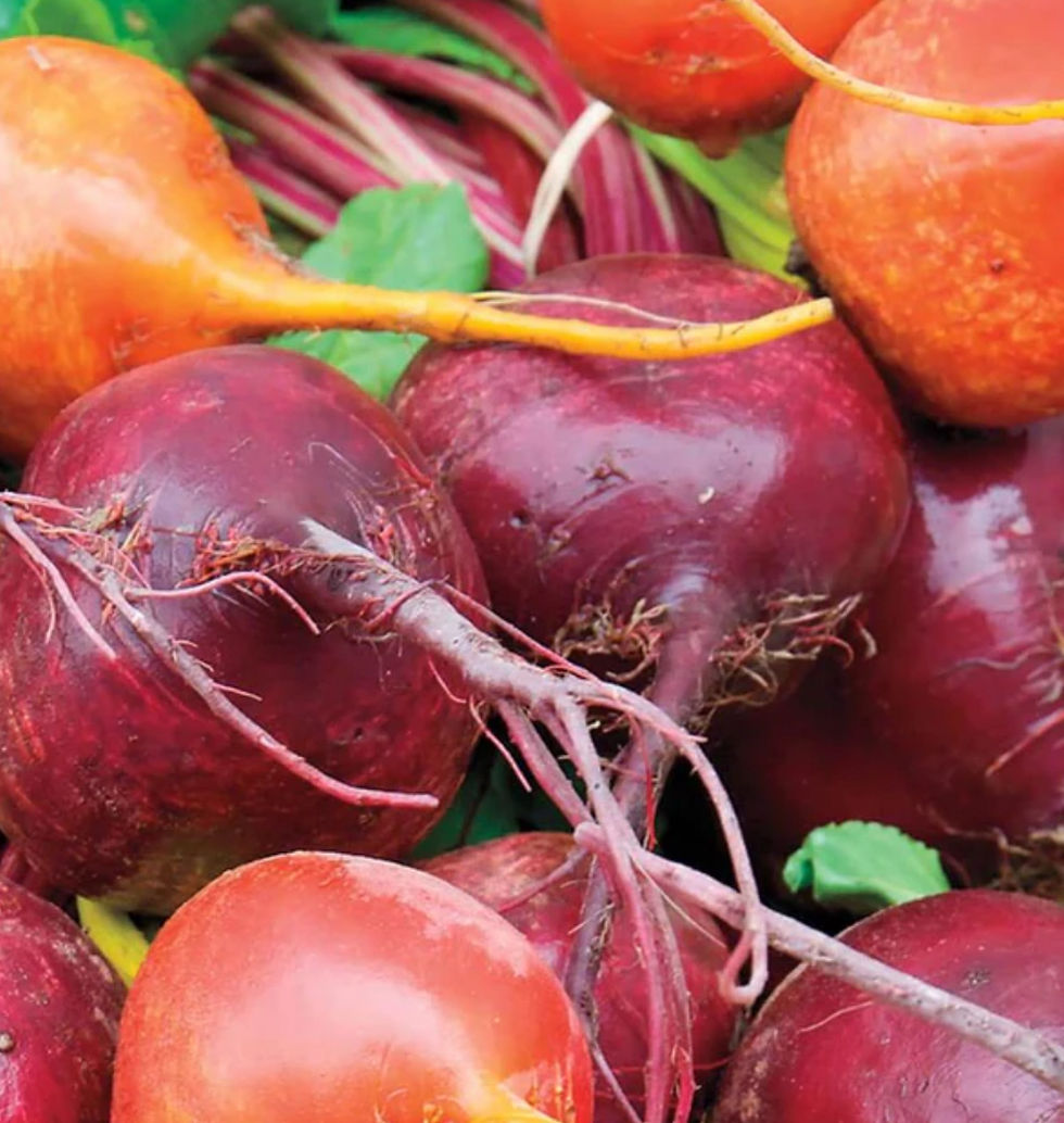 Thumbnail: Beet Blend, Beet Seeds