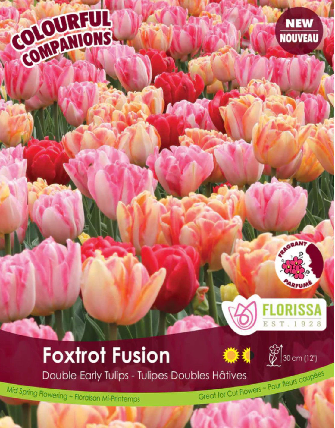 Foxtrot Fusion, Double Tulip Mix
