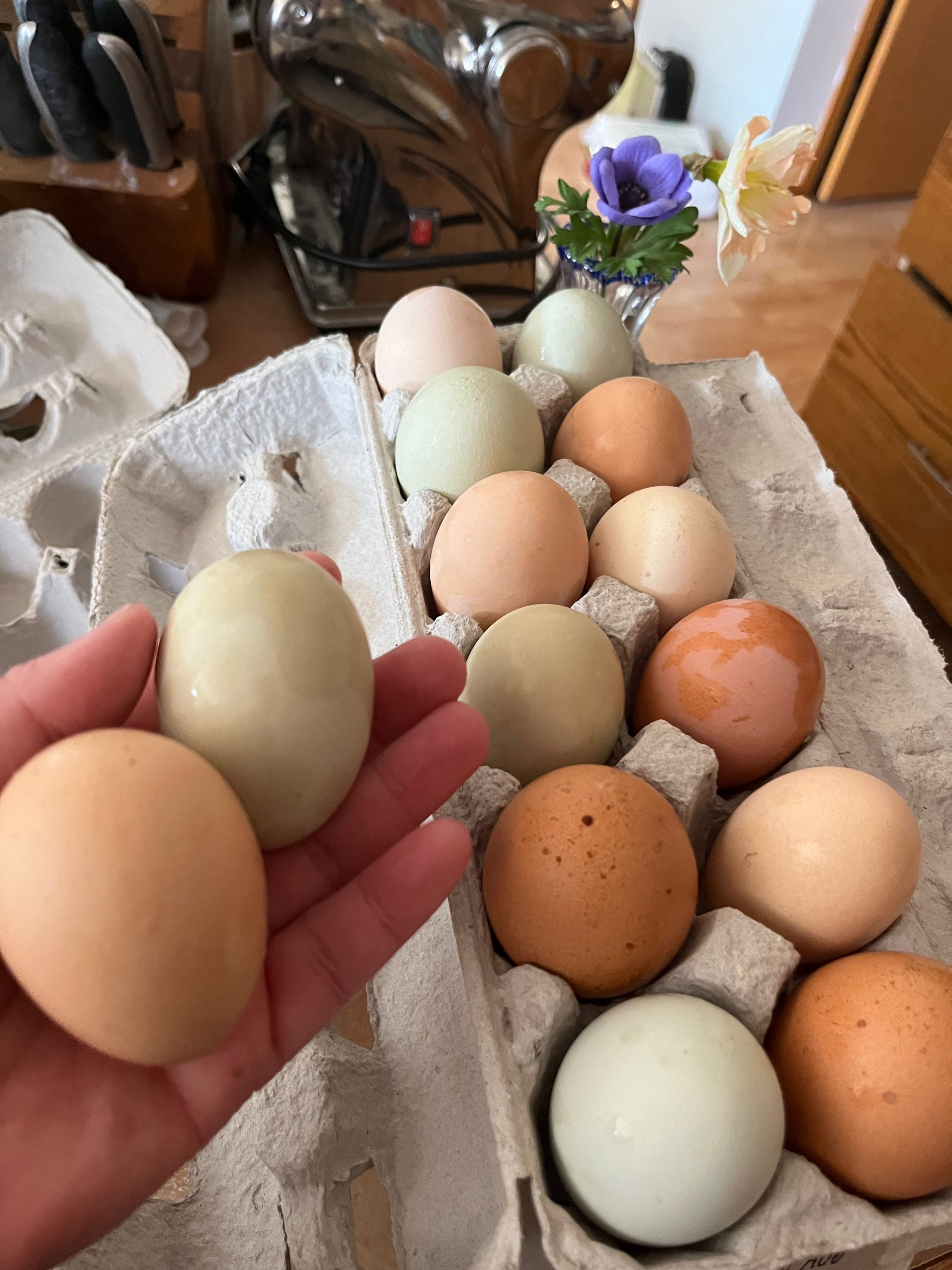 Farm Fresh Eggs