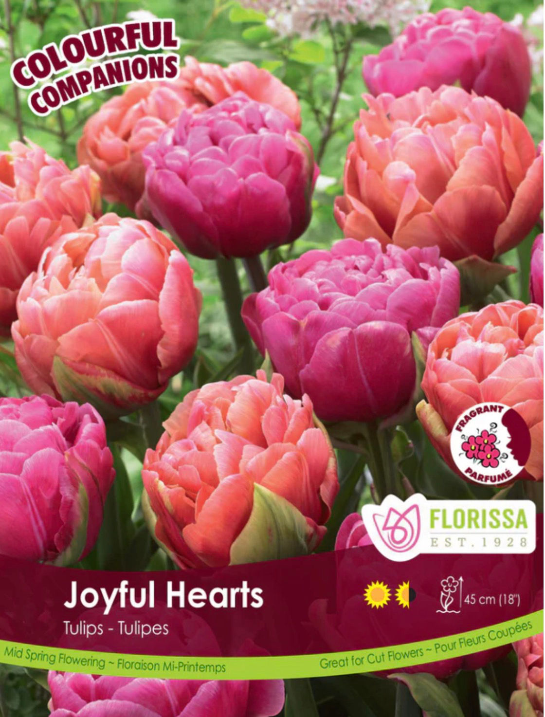 Joyful Hearts, Tulip Mix
