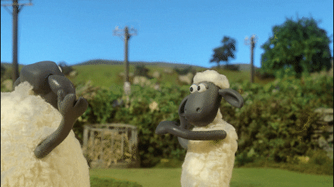 giphy-3.gif
