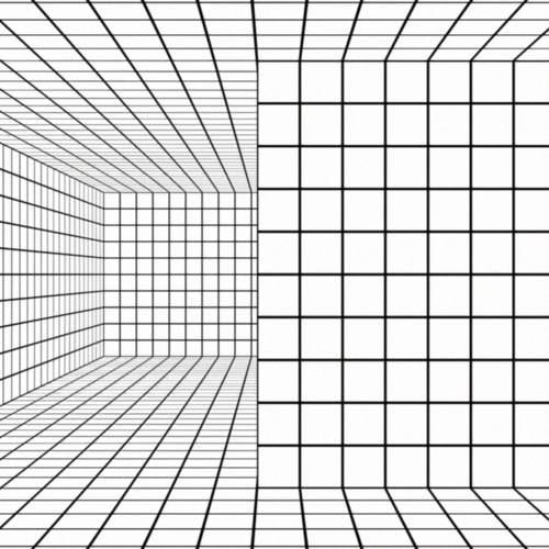 giphy2.gif