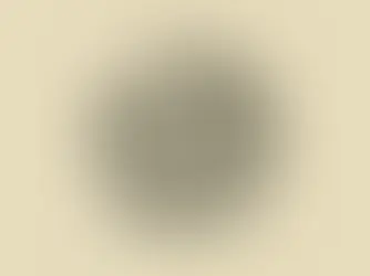 HAYRUN NAS MEN YENFEÛN NAS