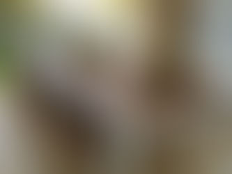 EDM Móveis Rústicos & Artesanais ensina medir corretamente o espaço antes de comprar uma mesa rústica garante harmonia.