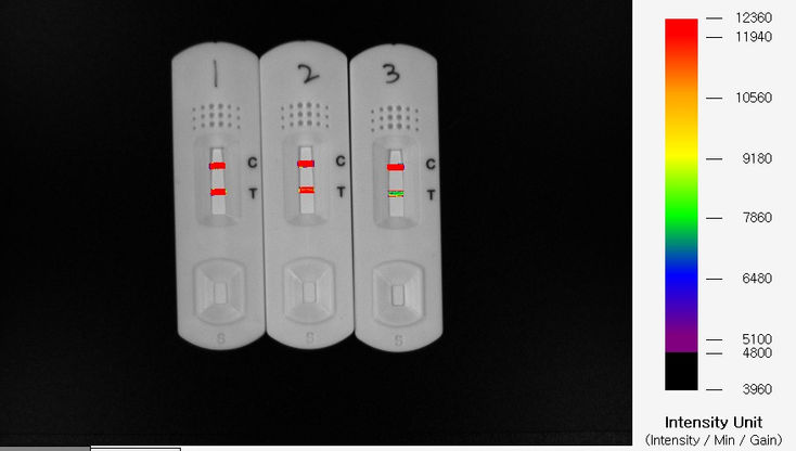 Fluorescence In Vivo Image