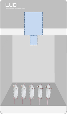 lucistructure01.png