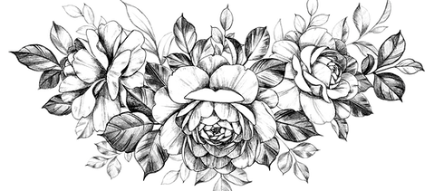 AdobeStock_282714948_edited.png