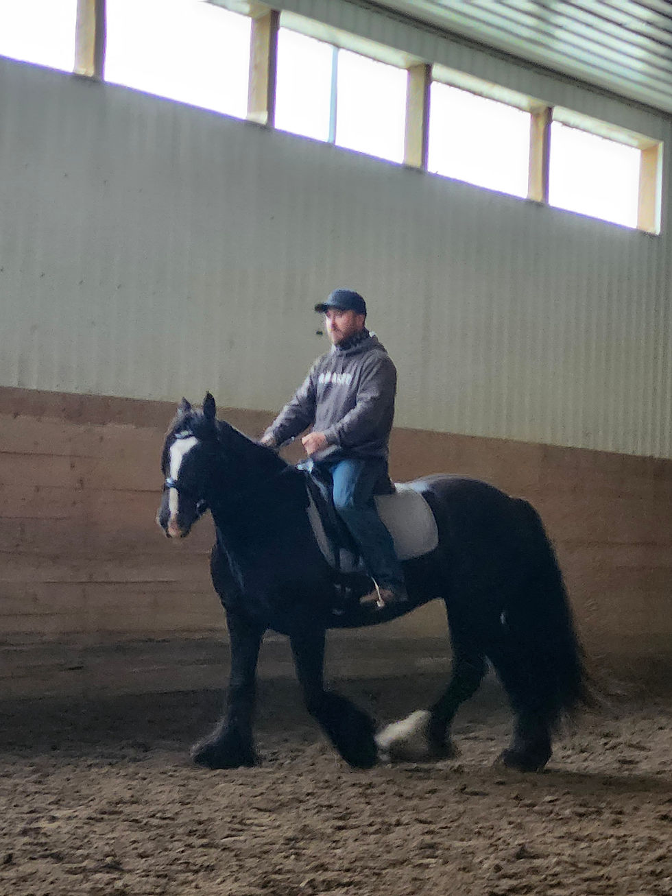 Josh rode her on the last day. We heard him giggling as Paris threw all her tricks at him and he worked through them all. I think he had a lot of fun with this little mare!