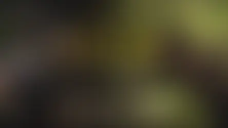 Task - uma minissérie que torna-se memorável 