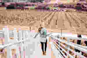 sonoma grape girl, audra tavelli, wine blogger, sonoma county blogger, vineyard views, wine country, dry creek valley wineries, where to wine taste healdsburg, healdsburg wineries, healdsburg wines, dry creek wine tasting, wine blog, sonoma wine blog, wine tasting dry creek, winery dry creek, cast wines, cast winery, cast dry creek