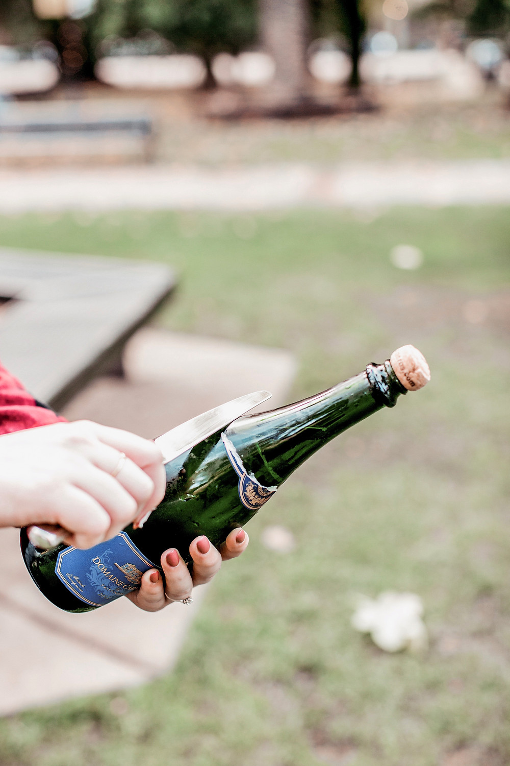 sonoma grape girl, audra tavelli, wine blogger, sonoma county blogger, champagne, sparkling wine, domaine carneros, domaine carneros sparkling wine, domaine carneros brut, saber sparkling wine, saber champagne, sabering, how to saber with a butter knife, how to saber sparkling wine with a butter knife, domaine carneros, domaine carneros brut, brut, champagne, sparkling wine, carneros, napa, napa valley