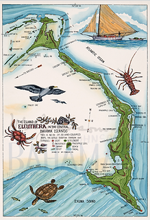 Screen Shot 2022-07-30 at 6.15.06 PM.png