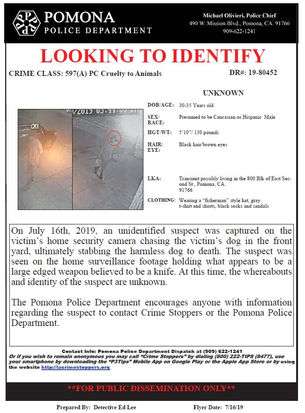 DOG STABBED TO DEATH!