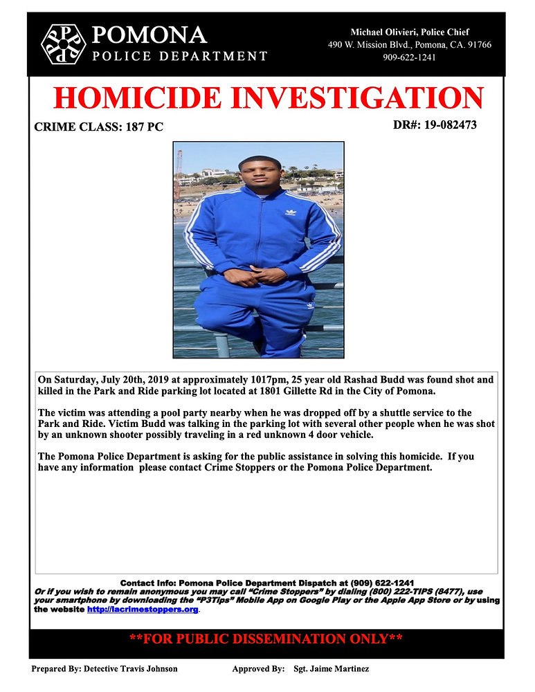 Homicide Investigation Example Homicide Investigation