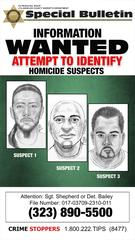 Information Wanted Attempt to Identify Homicide Suspects